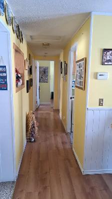 Acreage for Sale - Priced for quick sale - Photo 5
