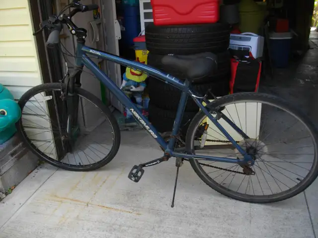 ADULT ROYAL NAKAMURA HYBRID BIKE