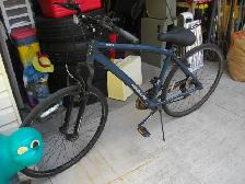 ADULT ROYAL NAKAMURA HYBRID BIKE - Photo 2