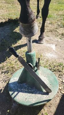 Chase Farrier Services - Photo 3