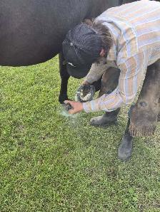 Chase Farrier Services - Photo 4