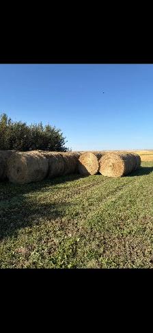 Round Hay Bales
