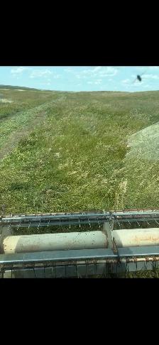 Round Hay Bales - Photo 2