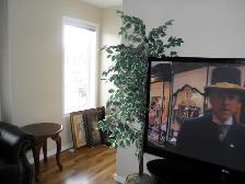 2 Bedrooms Townhouse & Den & Garage for Rent- Saskatoon Lakewood - Photo 3