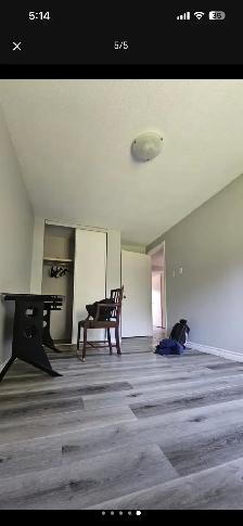 room for rent - Photo 5