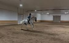 Horse Boarding - Red Deer - Photo 7