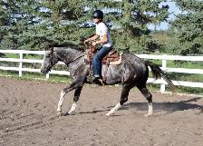 Horse Boarding - Red Deer - Photo 9