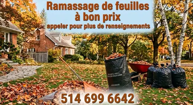 tonte de pelouse d’automne ramassage de feuilles, taille d’haie