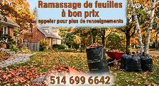 tonte de pelouse d’automne ramassage de feuilles, taille d’haie