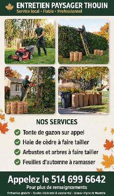 tonte de pelouse d’automne ramassage de feuilles, taille d’haie - Photo 2