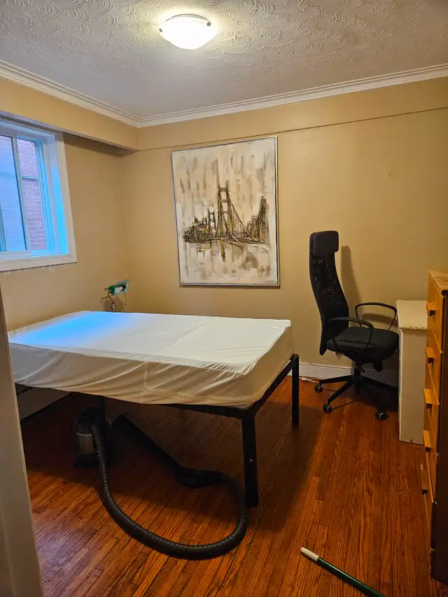 Furn room in 3bdrm apt in small building - CEDARVALE LRT