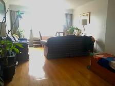 Furn room in 3bdrm apt in small building - CEDARVALE LRT - Photo 7