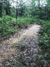 2.9 Acers in the close to Barrie. - Photo 9