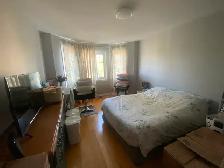Beautiful 2ND Floor Single Room in Richmond Hill - Photo 4
