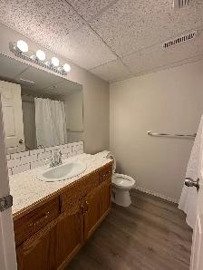 3 Bed 2 Bath rental - Photo 5