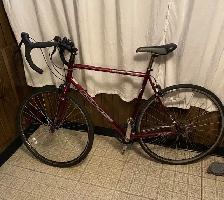 KHS Flite 220 Road Bike Red