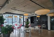 Downtown, fully furnished, lowney, Griffintown, Condo - Photo 4