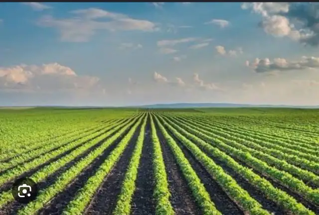 looking for a helper for a farm