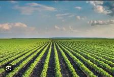 looking for a helper for a farm