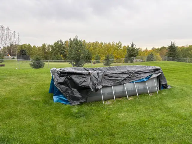 Back Yard Pool