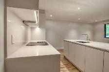 Renovated 1-bed apartment, Saint-Lambert, Dec 1 - ID 590 - Photo 2