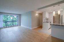 renovated 2-bedroom apartment, Saint-Lambert, Dec 1 - ID 2393