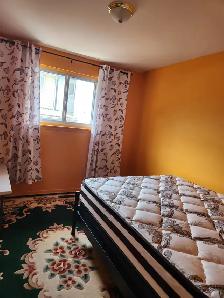 Private room For Rent @Malton  ( Girl) - Photo 3