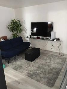 3 1/2 cession de bail 810$ - Photo 4