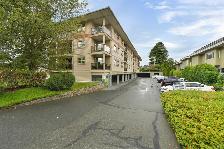 One Bedroom condo for Rent in Mt. Tolmie/Shelbourne area - Photo 2