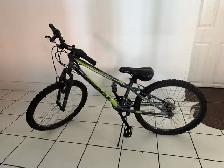 Bicycle for sale