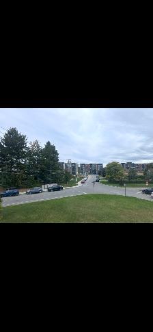 Appartement de 5 1/2 rénové et peint à louer