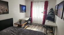 Chambre-650 $-Côte-des-Neiges-1er octobre