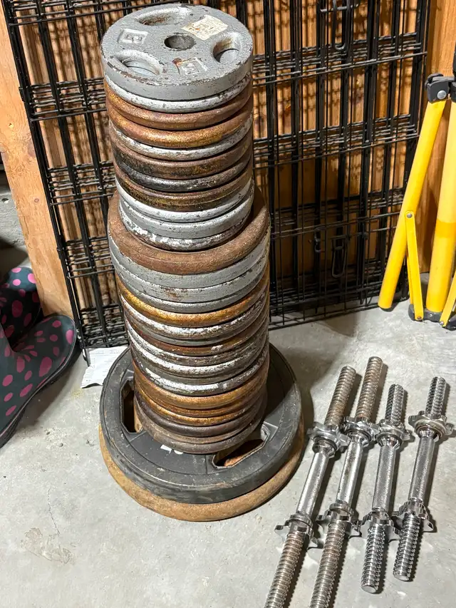 Standard Weight Plates   Dumbbell Handles