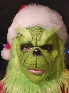 SANTA CLAUS AND THE GRINCH AVAILABLE - Photo 9