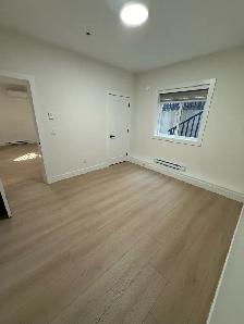 Basement for rent - Photo 4