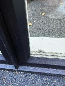 Triple pane vinyl windows - Photo 3