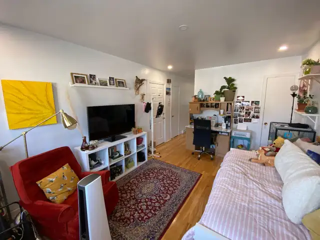 TOUT INCLUS - Tres joli et spacieux 3 et 1/2 - Nouveau Rosemont