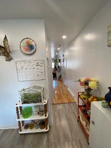 TOUT INCLUS - Tres joli et spacieux 3 et 1/2 - Nouveau Rosemont - Photo 7