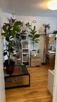 TOUT INCLUS - Tres joli et spacieux 3 et 1/2 - Nouveau Rosemont - Photo 9