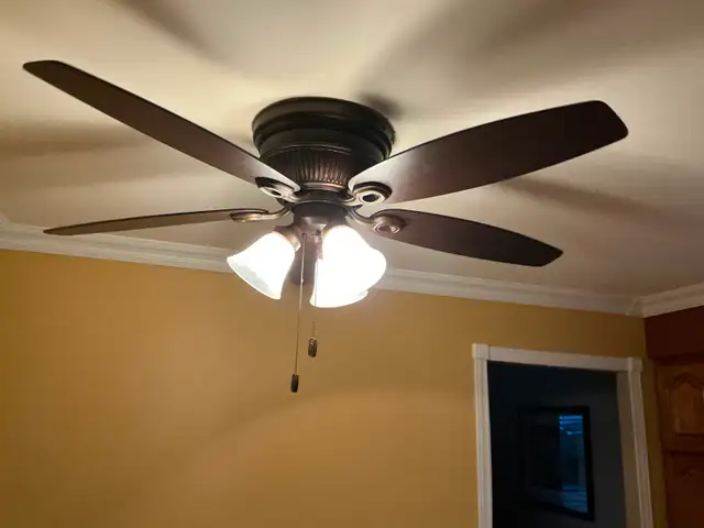 5-Blade flush Mount Ceiling fan with lights