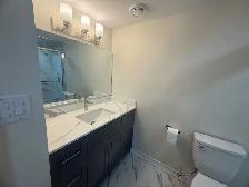Brand New Legal Basement for Rent - Photo 5