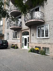 Prime Downtown Location 1-Bedroom Apt