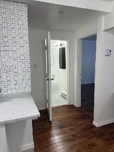 Prime Downtown Location 1-Bedroom Apt - Photo 3