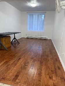 Prime Downtown Location 1-Bedroom Apt - Photo 4