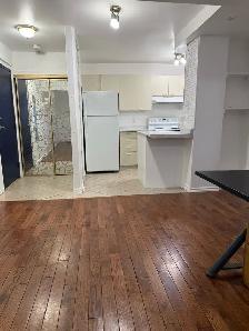 Prime Downtown Location 1-Bedroom Apt - Photo 5