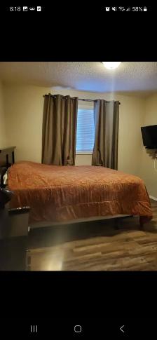 FURNISHED 5 BED HOME FOR RENT IN G.P.-ALL INCLUDED OCTOBER 2026 - Photo 4
