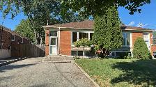 Semi Detached Raised Bungalow in Mississauga (Downstairs Unit)