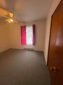 Two bedroom 1 bathroom apartment in central Sydney - Photo 3