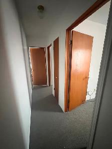 Two bedroom 1 bathroom apartment in central Sydney - Photo 4
