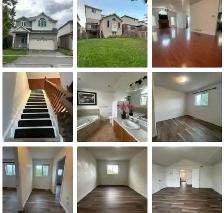 House for rent